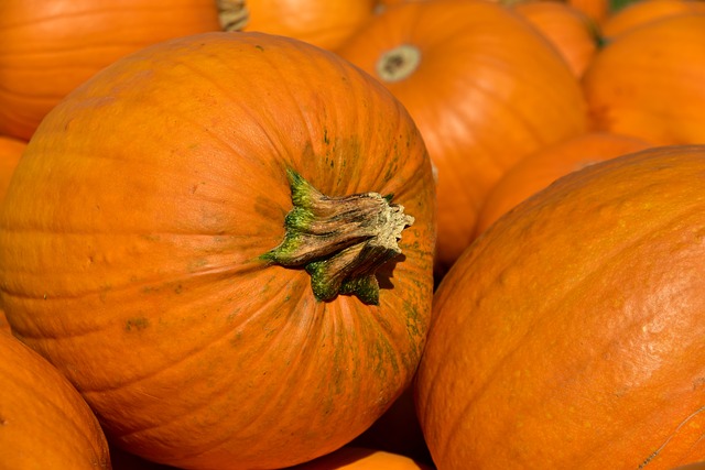 The Evolution of Pumpkin Spice